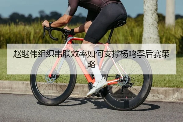 赵继伟组织串联效率如何支撑杨鸣季后赛策略